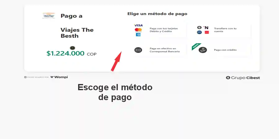 Selecciona entre tarjeta de crédito, PSE, Nequi, o efectivo en corresponsal bancario.