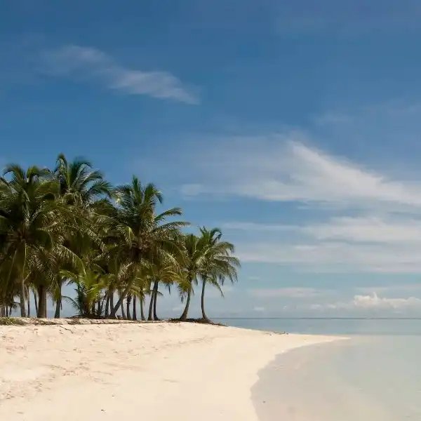 Playa Blanca en Coveñas con arena blanca, palmeras y aguas cristalinas del Caribe colombiano.