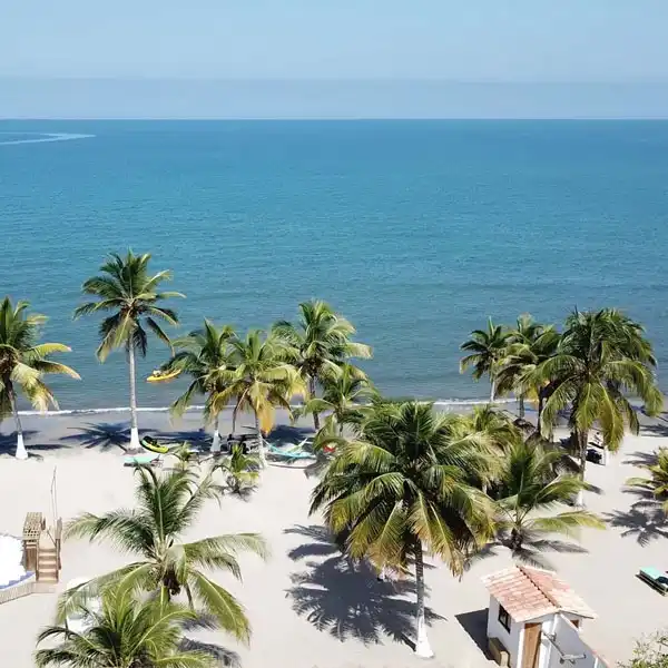 Vista aérea de Playa El Francés en Coveñas con palmeras, arena clara y mar turquesa.