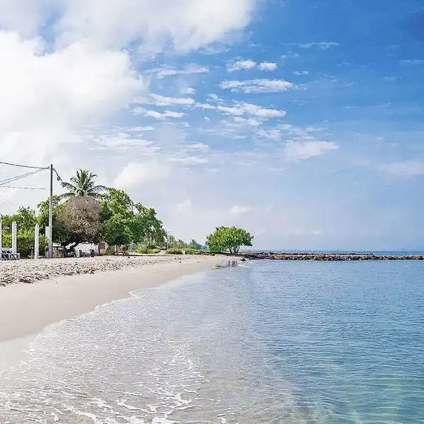 Playa Las Guacamayas en Coveñas con mar tranquilo, arena clara y vegetación costera.